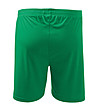 Детски зелени спортни шорти Sami-1 снимка