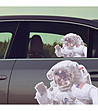 Стикер за кола Astronaut in the car-1 снимка